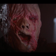 Illustration for article titled 13 Blood-Soaked Horror Movies That Will Turn Your Summer Vacation Evil